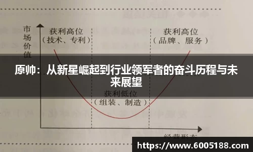 原帅：从新星崛起到行业领军者的奋斗历程与未来展望